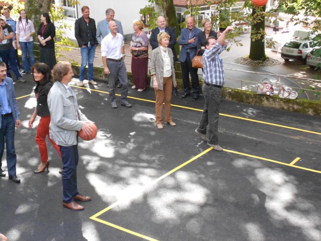 VDC basket (12)
